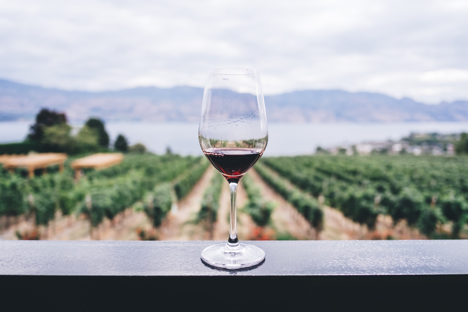 Comment réguler l’hygrométrie dans une cave à vin ?