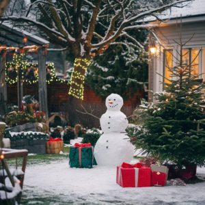 Bientôt Noël : 3 idées de cadeaux malins pour le jardin pour surprendre vos proches