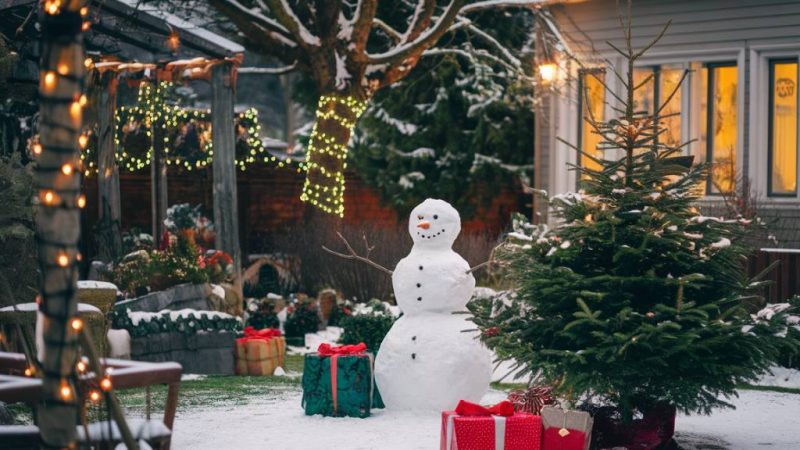 Bientôt Noël : 3 idées de cadeaux malins pour le jardin pour surprendre vos proches